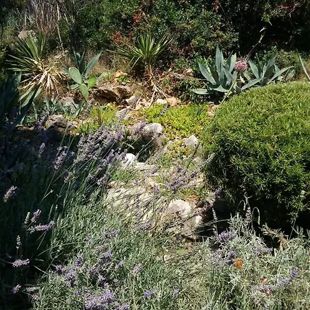 Apartmarin Apartmán *