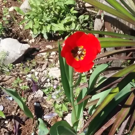 Apartmarin Apartmán Trogir