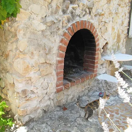 Apartmarin *