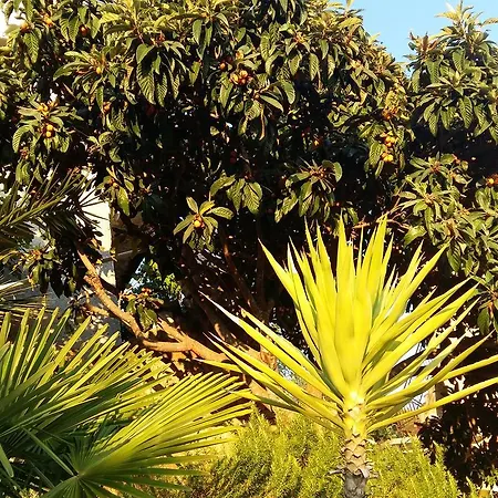 Apartmarin Trogir