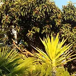 Apartmarin Trogir