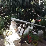 Apartman Apartmarin *