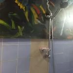 Apartman Apartmarin *